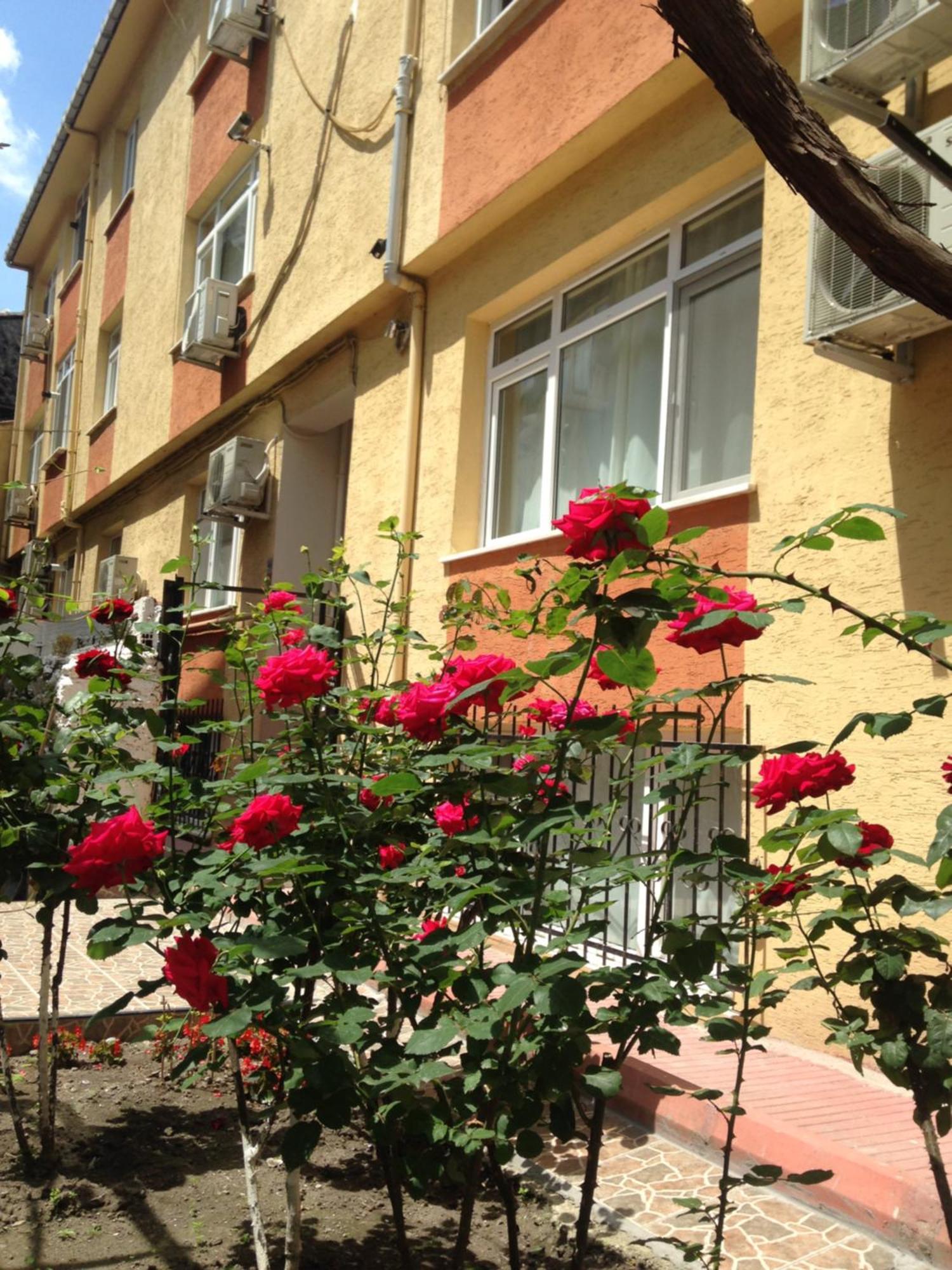 Sultanahmet Deluxe Yilmaz Apart Istanbul Exterior photo